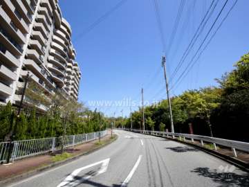 敷地南側の前面道路