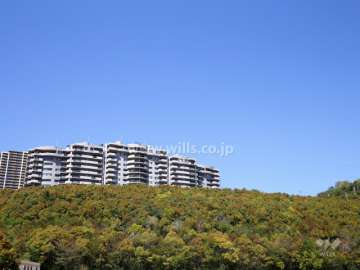 敷地南側の斜面は木々が茂り、緑豊かです。