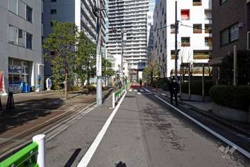 敷地西側の前面道路（北側から）