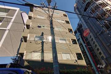 菱和パレス西麻布の外観（南西側から）