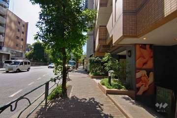 敷地東側の前面道路（北側から）