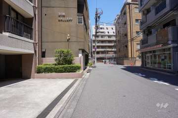 敷地東側の前面道路（南側から）