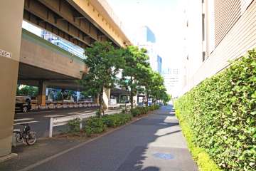 敷地西側の前面道路（北側から）