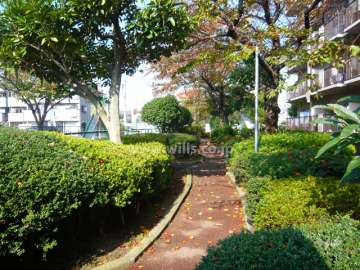 敷地内は植栽スペースが多く緑豊かです。