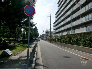 南側は公園です