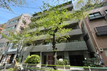 菱和パレス虎ノ門の外観（南側から）