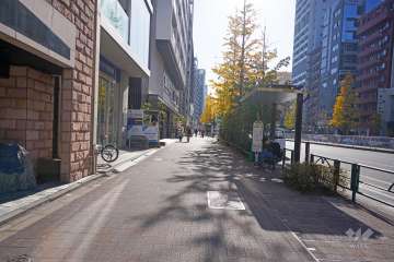 敷地西側の前面道路（北側から）