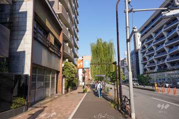 敷地南側の前面道路（西側から）