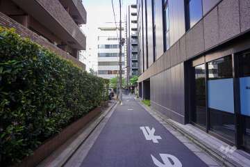 敷地南側の前面道路（西側から）