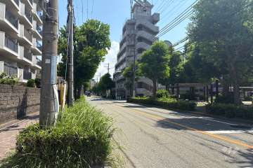 敷地南側の前面道路(西側から)