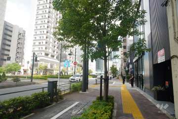 敷地南側の前面道路（東側から）