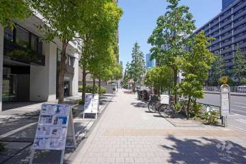 敷地東側の前面道路（南側から）