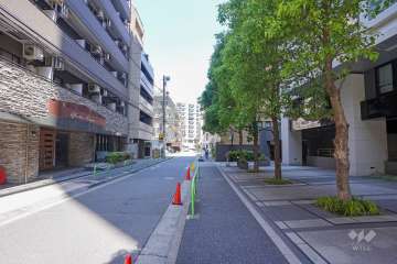 敷地西側の前面道路（南側から）