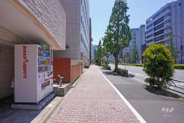 敷地西側の前面道路（北側から）
