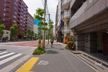 敷地南西側の前面道路（南東側から）
