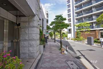 敷地南側の前面道路（西側から）