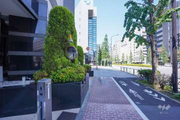 敷地東側の前面道路　