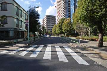 敷地南側の前面道路