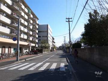 敷地南側の前面道路