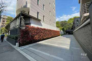 敷地の南側前面通路（西側から）