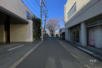 敷地の南側前面道路（西側から）
