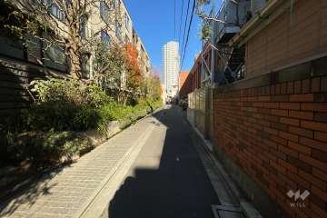 敷地の西側前面道路（北側から）