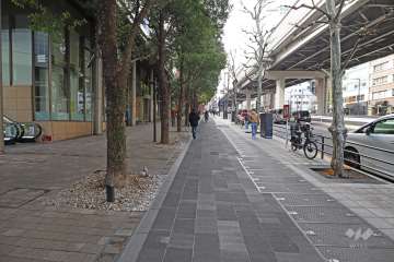敷地北西側の前面道路（北東側から）