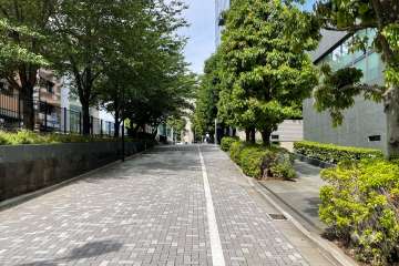 敷地北西側の前面道路（南西側から）