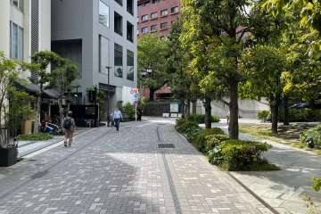 敷地南側の前面道路（東側から）