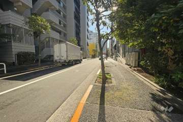 敷地の西側前面道路（北側から）