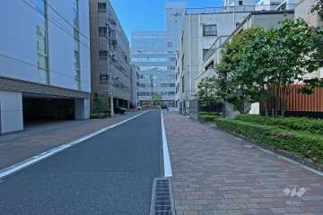 敷地西側の前面道路（北側から）