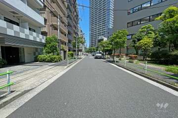 敷地南東側の前面道路（南西側から）