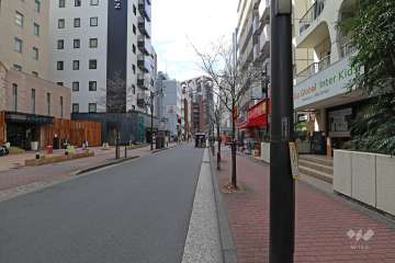 敷地南東側の前面道路（北東側から）