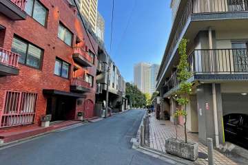 敷地の西側前面道路（北側から）