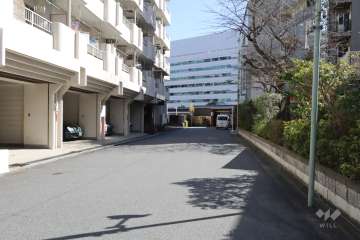 敷地西側の前面道路