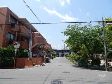 敷地北側の前面道路