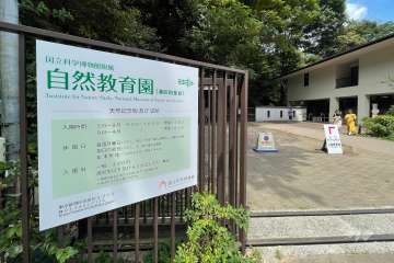 前面道路を東に進むと『東京都庭園美術館』や『自然教育園』があります。
