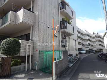 敷地北側の通路