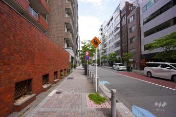 敷地東側の前面道路（南側から）