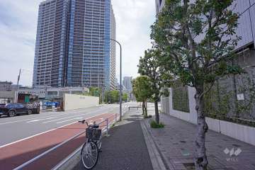 敷地東側の前面道路（北側から）