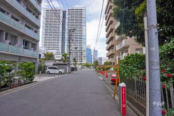 敷地西側の前面道路（南側から）