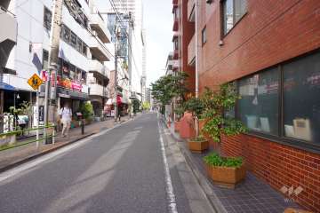 敷地北側の前面道路（西側から）