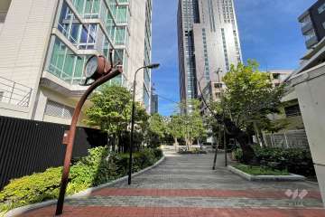 敷地北側の前面道路（西側から）