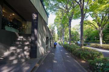 敷地南側の前面道路（西側から）