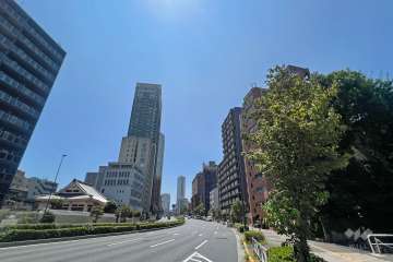 敷地東側の前面道路（北側から）