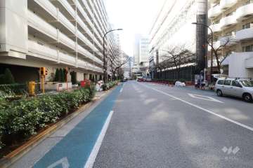 敷地西側の前面道路(北側から)