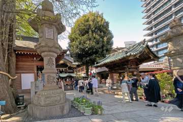 周辺は青山通り近くながら、『赤坂御所』や『豊川稲荷』に隣接する静かな住宅地です。