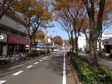 敷地東側は、街路樹がきれいなバス通りに面しています。