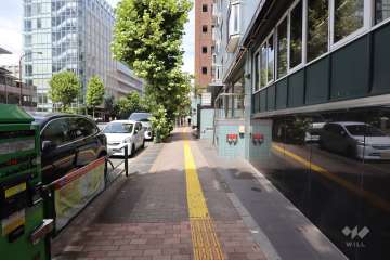 敷地西側の前面道路（南側から）