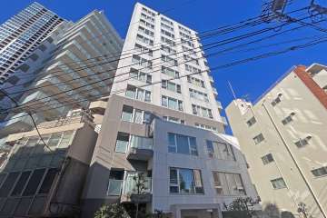 ディアクオーレ白金高輪の外観（南西側から）